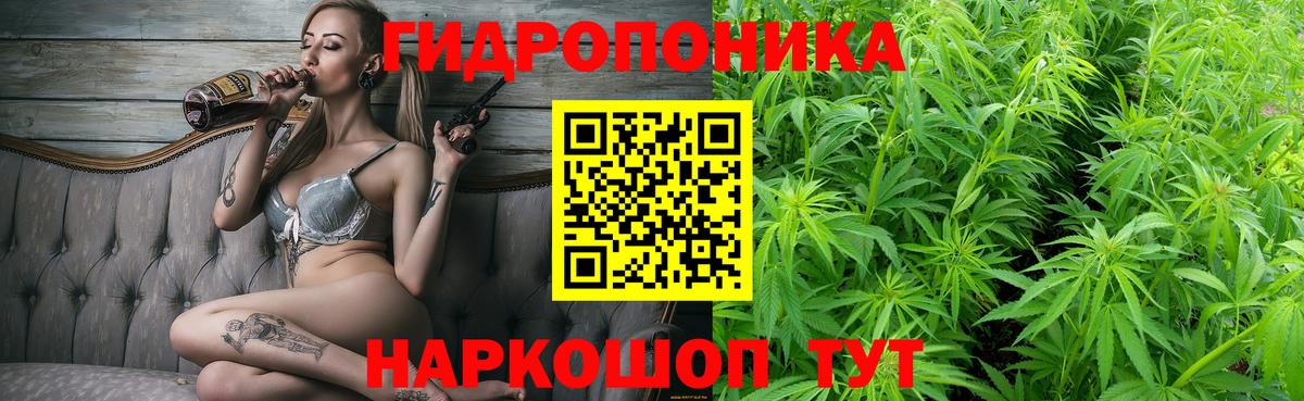 Бошки марихуана Ganja  МАРИХУАНА AK-47  Марихуана ГИДРОПОН  Фрязино  Вход с VPN 